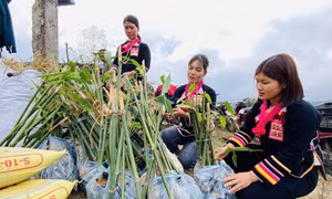 Triển khai mô hình “Lũy tre biên thùy” ở biên giới Lai Châu