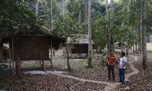 Phát triển du lịch dưới tán rừng - Hướng đi mới của tuổi trẻ Tuyên Quang