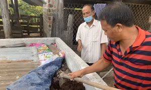 Tự làm phân hữu cơ phục vụ sản xuất - lợi ích kép
