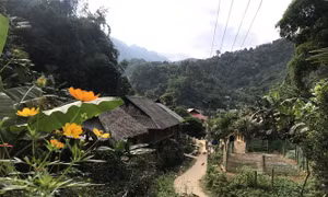 Xây dựng điểm du lịch cộng đồng Kho Mường