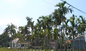  Đổi mới trên quê hương Tam Xuân I, Quảng Nam