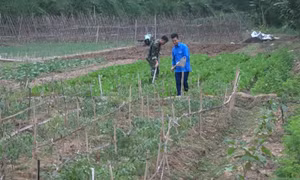 Hỗ trợ đồng bào vùng cao tỉnh Cao Bằng thoát nghèo hiệu quả