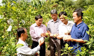 Cần Thơ đầu tư trên 703 tỷ đồng cho Chương trình giảm nghèo bền vững trong năm 2021