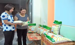 Bắc Giang ứng dụng công nghệ sinh học, công nghệ vật liệu mới phục vụ phát triển kinh tế - xã hội