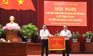 Triển khai xây mới nhà ở cho Mẹ Việt Nam Anh hùng. Ảnh: Nguyễn Thanh - TTXVN 
