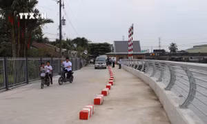 Tiền Giang tập trung khắc phục sạt lở, bảo vệ sản xuất và đời sống nhân dân