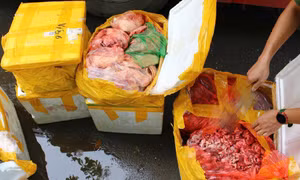 Ngăn chặn 476 kg nội tạng không rõ nguồn gốc tuồn ra thị trường