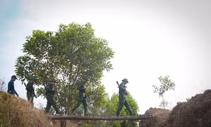 Đường tuần tra trên tuyến biên giới Tây Ninh của cán bộ chiến sĩ biên phòng Đồn Ninh Điền. Ảnh: Giang Phương - TTXVN