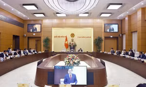 Nhiệm vụ, quyền hạn và cơ cấu tổ chức của Hội đồng Dân tộc, các Ủy ban của Quốc hội