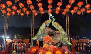 Lễ hội đèn lồng Tết Nguyên tiêu tại Hong Kong (Trung Quốc) 