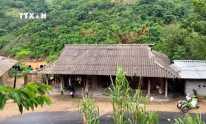 Người dân tộc Mông sống tại bản Xa Lung, xã Mường Lý, huyện biên giới Mường Lát, tỉnh Thanh Hóa luôn sống trong khó khăn, nghèo đói quanh năm do không có điện lưới quốc gia.Ảnh : Nguyễn Nam-TTXVN/Phát