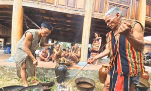 Thầy cúng và già làng người Brâu làm lễ cúng Trỉa lúa. Ảnh: Khoa Chương