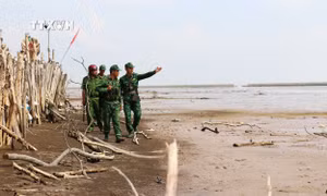 Lực lượng Bộ đội Biên phòng Tiền Giang phối hợp với Công an, Dân quân tự vệ tuần tra kiểm soát, kiểm soát địa bàn khu vực cồn bãi ở huyện Tân Phú Đông, tỉnh Tiền Giang. Ảnh: Hữu Chí – TTXVN