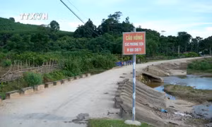 Ngoài việc chính quyền địa phương lên phương án cắm biển, cắt cử lực lượng trực chốt thì người dân cần nêu cao ý thức, chủ động phòng tránh để hạn chế thấp nhất thiệt hại đáng tiếc có thể xảy ra khi có thiên tai. Ảnh: Văn Tý-TTXVN