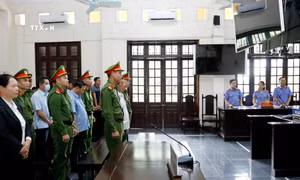 Các bị cáo bị tuyên án trong phiên tòa xét xử sơ thẩm. Ảnh: Quốc Khánh - TTXVN