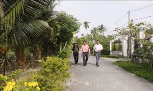 Tuyến đường hoa, cây xanh tại Ấp 10, xã Hòa Hiệp, huyện Tam Bình. Ảnh: Phạm Minh Tuấn-TTXVN