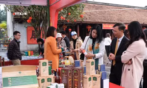 Lãnh đạo Sở Văn hóa, Thể thao và Du lịch tỉnh Vĩnh Phúc cùng các doanh nghiệp du lịch tham quan gian hàng trưng bày sản phẩm du lịch tỉnh Vĩnh Phúc. Ảnh: Hoàng Hùng – TTXVN