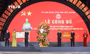 Huyện miền núi đầu tiên của Bắc Giang đạt chuẩn Nông thôn mới