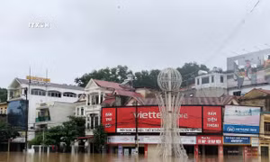 Yên Bái oằn mình chống lũ