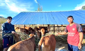 Ayun hỗ trợ sinh kế giúp người dân thoát nghèo