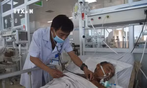 Bác sỹ Trịnh Hồng Nhựt thăm khám cho bệnh nhân đang điều trị tại Khoa Hồi sức tích cực và Chống độc - Bệnh viện Đa khoa Vùng Tây Nguyên. Ảnh: Nguyên Dung - TTXVN