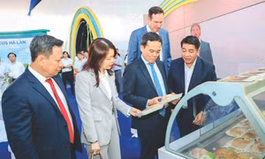 Tây Ninh xây dựng chuỗi liên kết nông nghiệp ứng dụng công nghệ cao