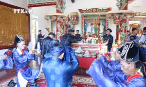 Lễ hội và giỗ Tổ ngành nghề yến sào Khánh Hoà