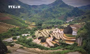 Vẻ đẹp của những thửa ruộng bậc thang Khun Há, huyện Tam Đường, tỉnh Lai Châu vào mùa nước đổ. Ảnh: Nguyễn Oanh-TTXVN