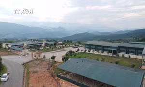 Nhà máy chế biến mủ cao su tại xã Nậm Tăm nằm gần khu dân cư, các khe suối, nguồn nước. Ảnh: TTXVN phát