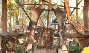 Hiện vật lao thú kim loại tại khu vực nhà Voi bị mất (khoanh đỏ) thuộc khu trưng bày Thiên đường Tây Nguyên - Gia Lai. Ảnh: TTXVN phát