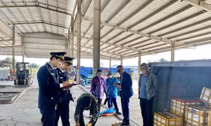 Lực lượng Hải quan Cửa khẩu cầu Bắc Luân II kiểm tra hàng hóa nhập khẩu tại bãi kiểm hóa. Ảnh: TTXVN phát
