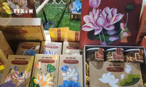 Các sản phẩm làm từ sen trưng bày Ngày hội Sen Huế 2024. Ảnh: Mai Trang - TTXVN