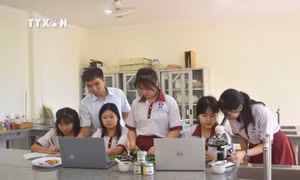 Nhóm học sinh lớp 10 đến từ THCS & THPT Đông Du (thành phố Buôn Ma Thuột) nghiên cứu thành công Dự án “Sản xuất muối đồng bào vùng Tây Nguyên - Muối Amrêč”. Ảnh: Nguyên Dung - TTXVN