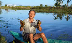 Kiên Giang đẩy mạnh khai thác đánh bắt và nuôi trồng thủy sản để bù đắp sản lượng sụt giảm