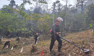 Nỗ lực rà phá bom mìn trên tuyến biên giới Hà Giang