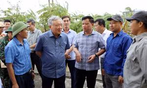 Phó Thủ tướng Thường trực Chính phủ Nguyễn Hòa Bình kiểm tra công tác khắc phục hậu quả bão số 3 tại Thái Bình