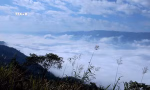 Biển mây lững lờ trôi đan xen những ngọn núi trùng trùng, điệp điệp hút tầm mắt. Ảnh: Quý Trung – TTXVN
