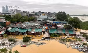 Nước bắt đầu gây ngập khu vực bãi Phúc Xá, quận Hoàn Kiếm, ảnh hưởng đến cuộc sống người dân (Ảnh chụp 6h45 ngày 10/9). Ảnh: An Đăng - TTXVN