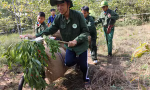 Sôi động những ngày hè trải nghiệm thực tế của trẻ em Bình Dương