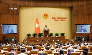 Thông cáo báo chí số 12, Kỳ họp thứ 7, Quốc hội khóa XV