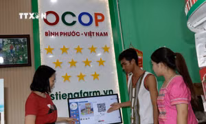 Khách hàng lựa chọn sản phẩm qua mạng điện tử. Ảnh: K GỬIH - TTXVN