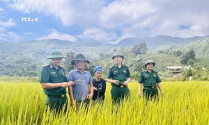 Người lính biên phòng Nguyễn Văn Bằng mang mùa vàng no ấm đến dân bản