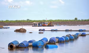 Hồ chứa nước ngọt của tỉnh Cà Mau hiện đạt khoảng 80%, trong đó còn khá nhiều hạng mục chính vẫn chưa được hoàn thành. Ảnh: Huỳnh Anh - TTXVN