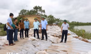 Phó Chủ tịch Ủy ban Nhân dân tỉnh Bắc Ninh Lê Xuân Lợi (thứ 2, bên phải) kiểm tra sự cố đê điều tại bờ Ngũ Huyện Khê, xã Phú Lâm, huyện Tiên Du, Bắc Ninh. Ảnh: Thái Hùng-TTXVN