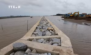 Kè ngầm chắn sóng giảm nguy cơ xâm thực do sóng biển
