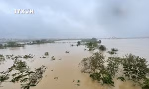 Lúc 7 giờ ngày 11/9, mực nước trên sông Hồng tại Hà Nội là 10,70m, trên báo động 2 là 0,20m (ảnh chụp lúc 7h50 ngày 11/9). Ảnh: Minh Quyết- TTXVN