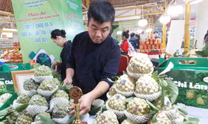 Na Lạng Sơn được giới thiệu tại Phiên chợ. Ảnh: Bích Hồng – TTXVN