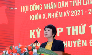 Bà Phạm Thị Phúc, Chủ tịch HĐND tỉnh Lâm Đồng khai mạc kỳ họp. Ảnh: Chu Quốc Hùng- TTXVN