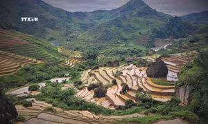 Vẻ đẹp của những thửa ruộng bậc thang Khun Há, huyện Tam Đường, tỉnh Lai Châu vào mùa nước đổ. Ảnh: Nguyễn Oanh-TTXVN