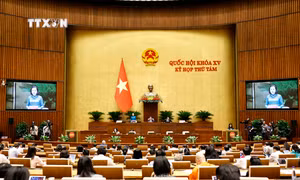 Thông cáo báo chí số 4, Kỳ họp thứ 8, Quốc hội khóa XV